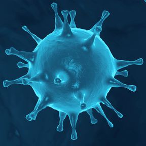 Grafische Darstellung Coronavirus, Quelle: stock.adobe.com/ahmet